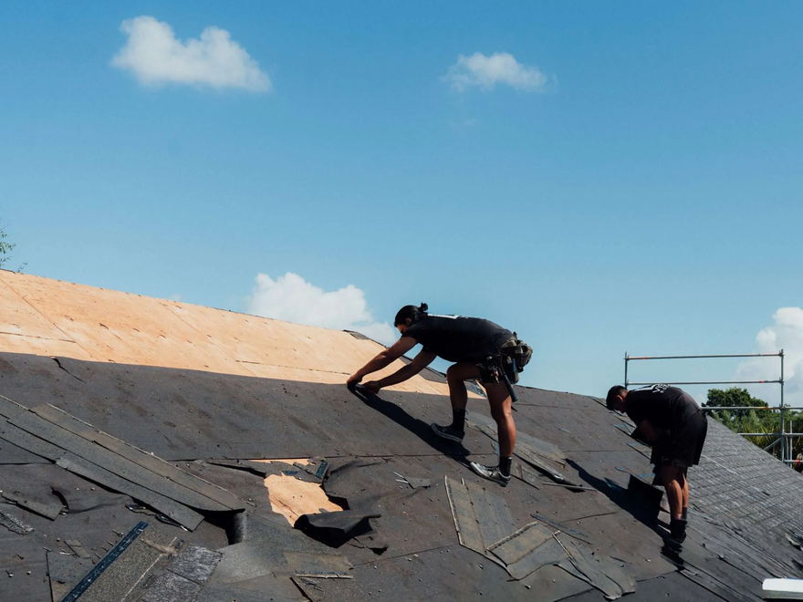 Two roofers working together laying a new roof on a Te Puna house